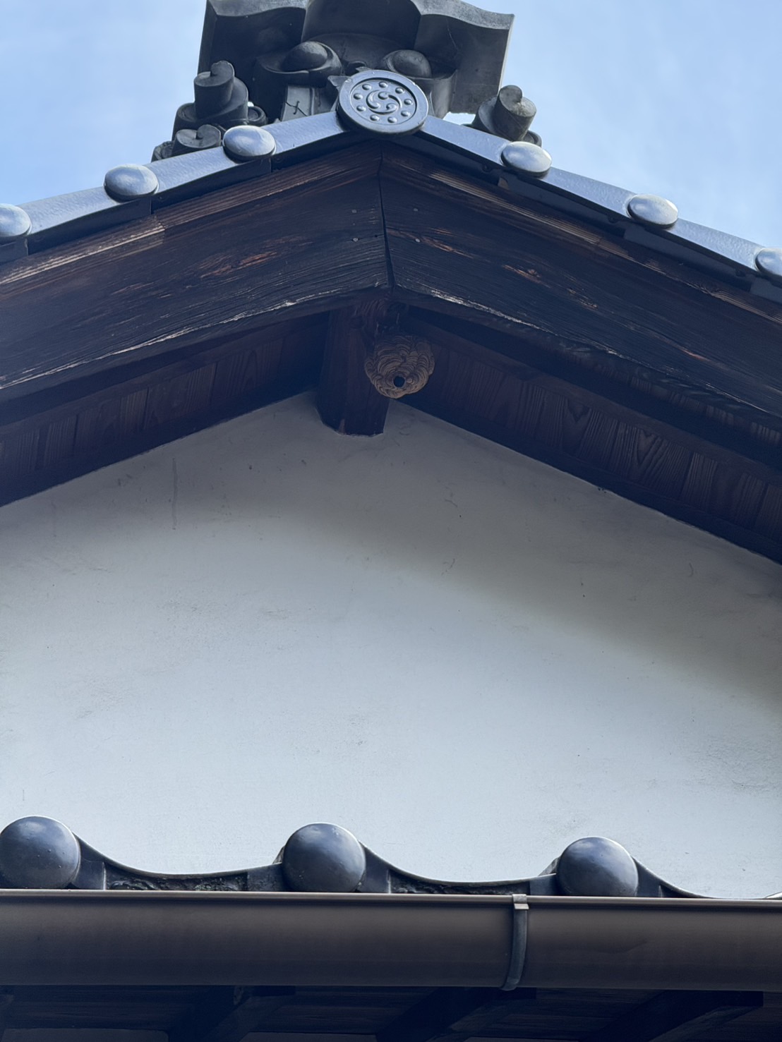井原市西江原でスズメバチ駆除｜お寺の2階軒下に大きな巣が！