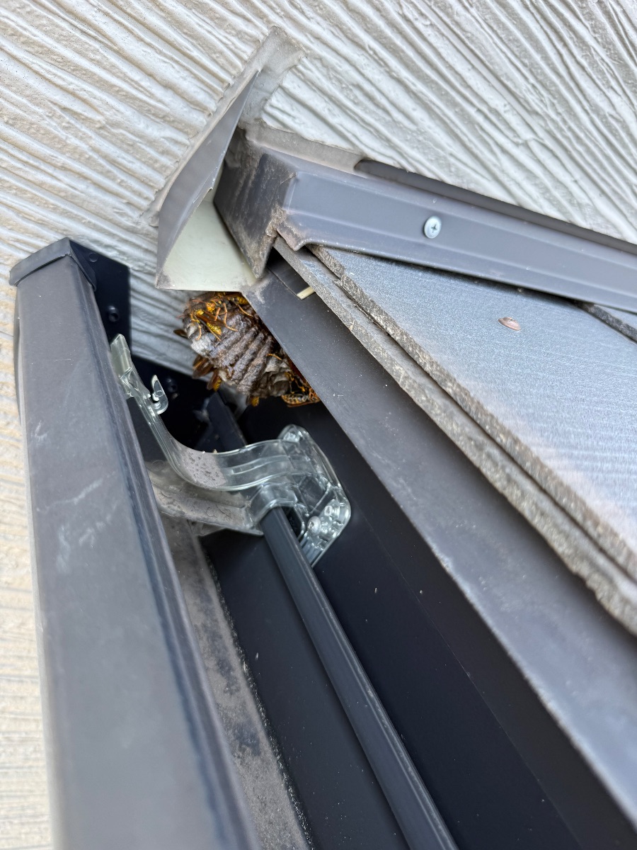 浅口市金光町でアシナガバチ駆除｜1階の樋にできた巣を即日対応