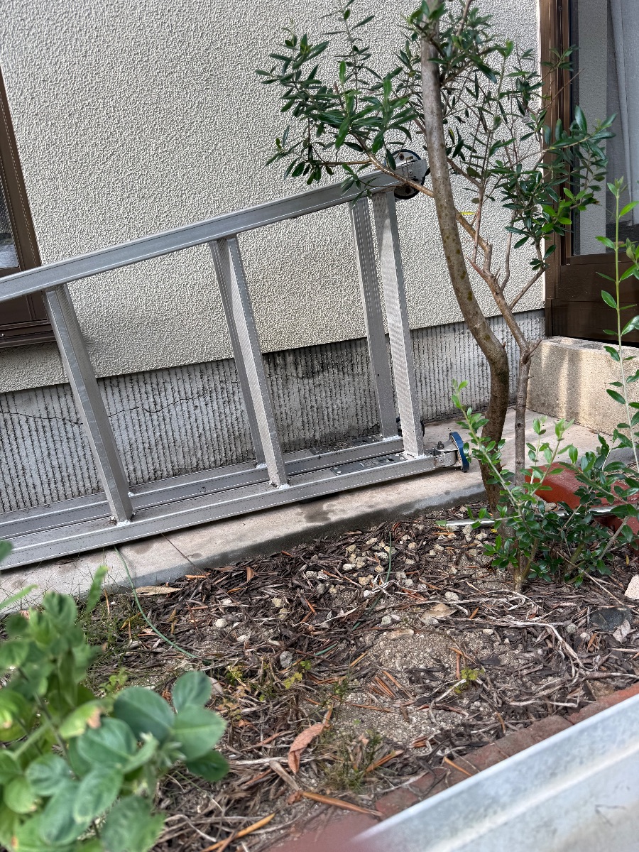 福山市 アシナガバチの巣を撤去した後のはしご