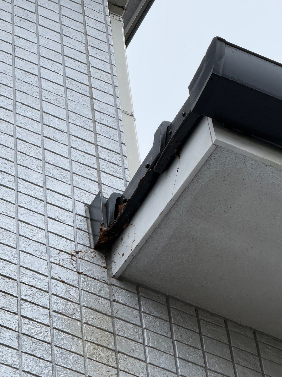 福山市 巣を取り外したあとの2階の軒先