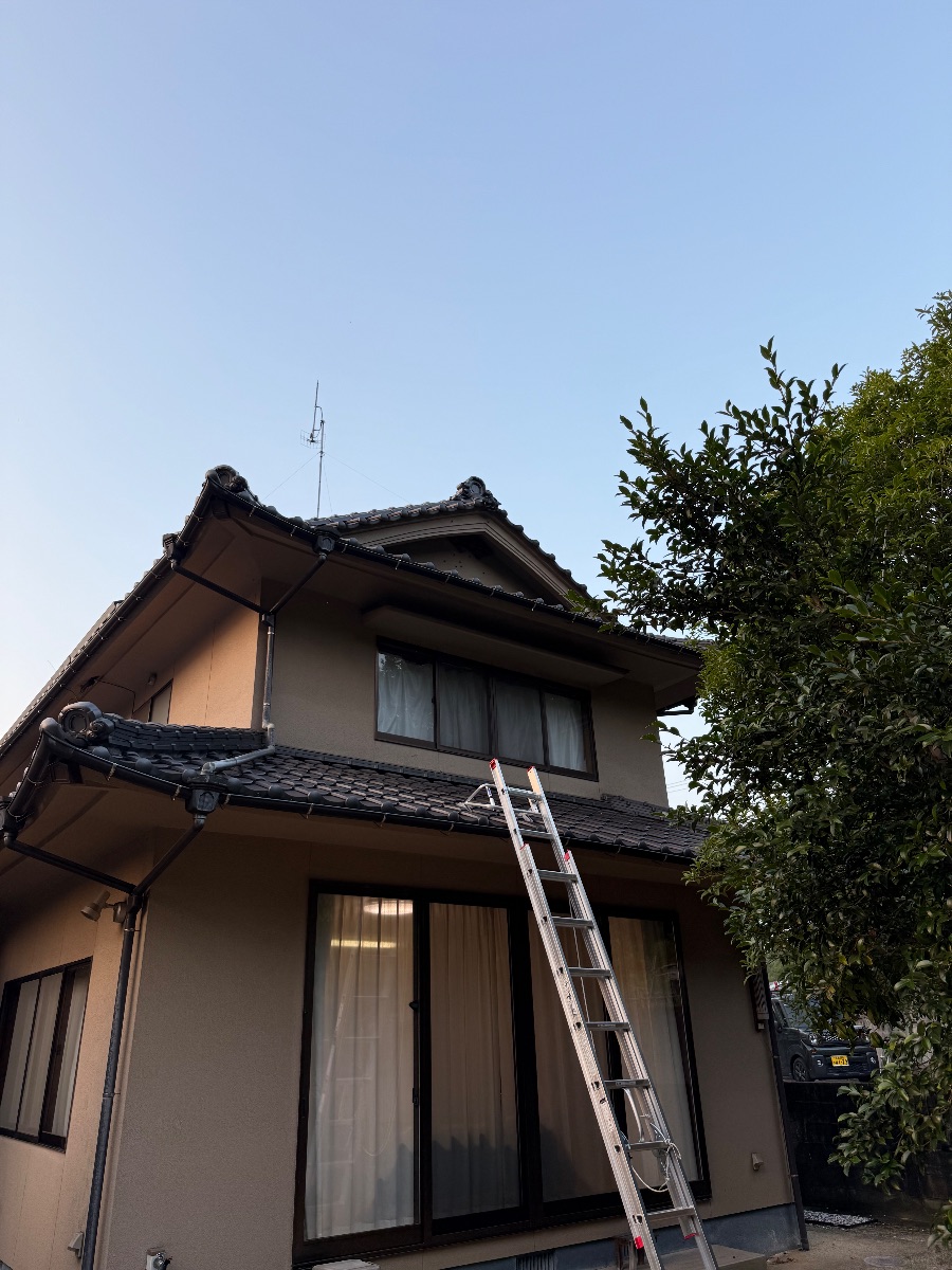 福山市でスズメバチ駆除｜2階屋根裏の巣に薬剤注入で対応