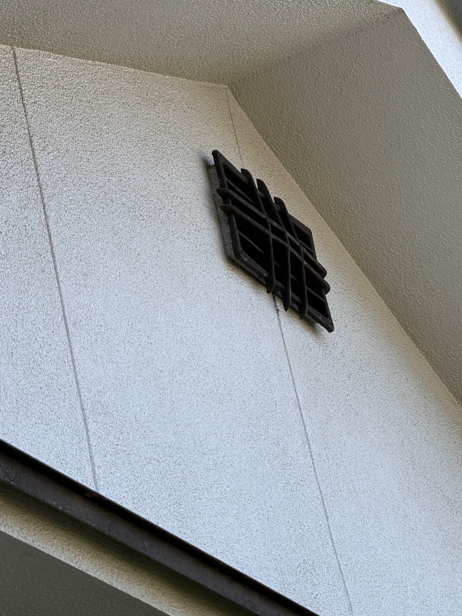 福山市 スズメバチの出入り口になっていた屋根下の通気口