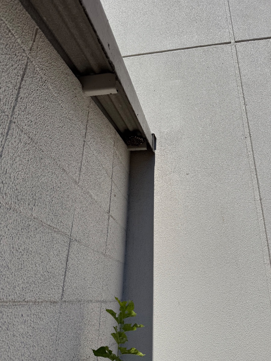 井原市 外壁の角にある庇の裏側にアシナガバチが営巣していた現場