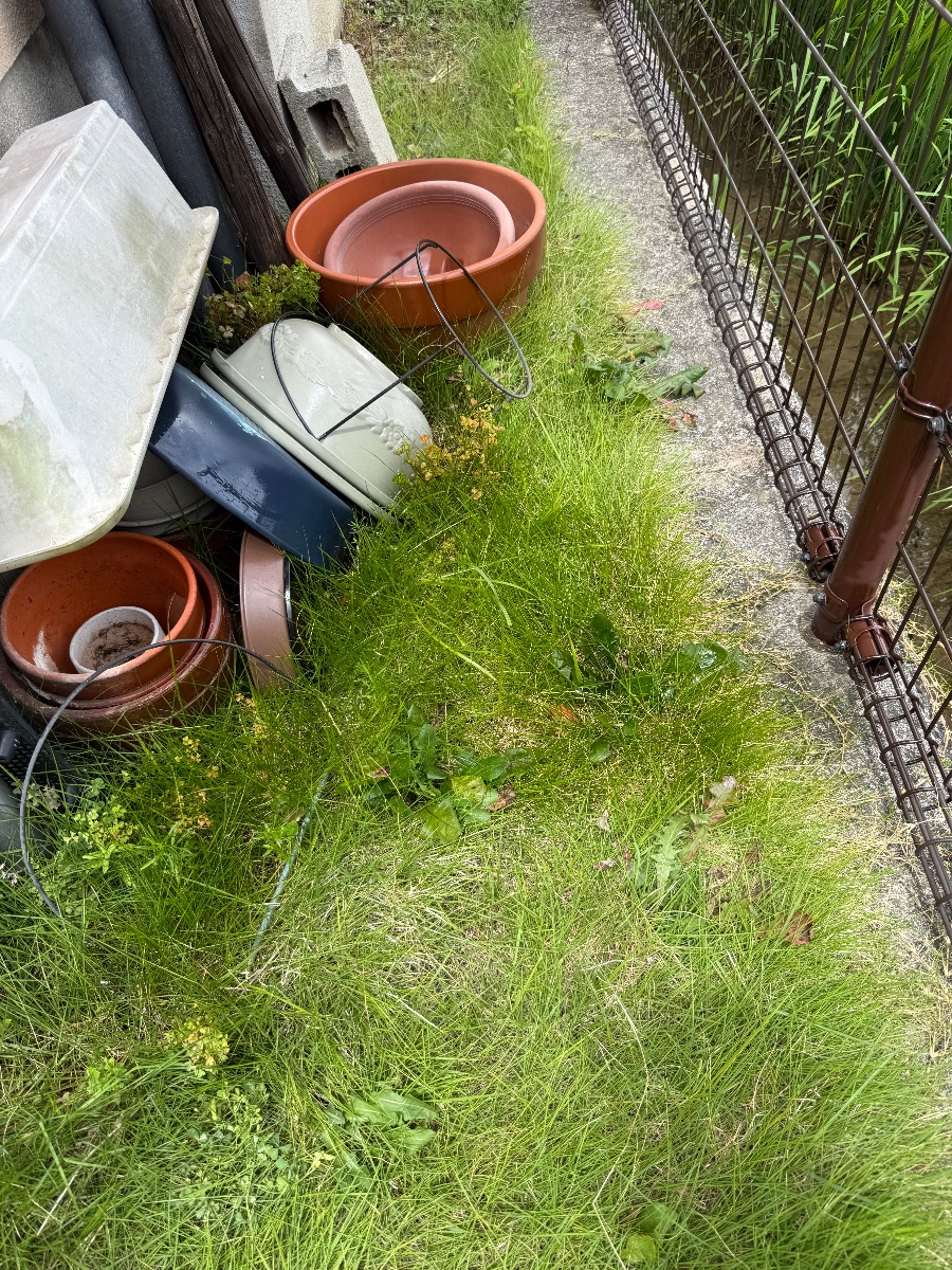 植木鉢が積まれ、草が伸びたお庭のフェンス沿いの一角