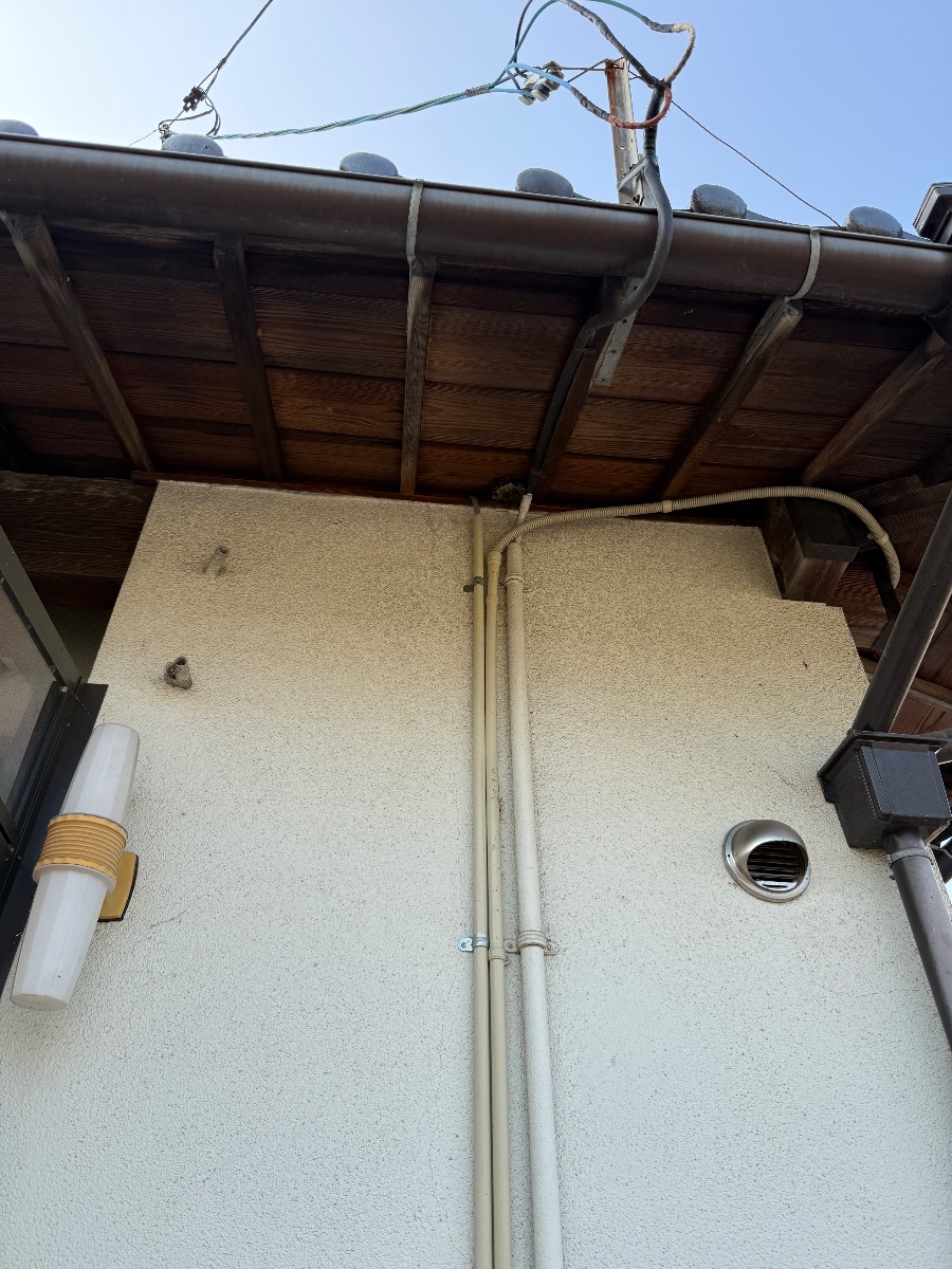 井原市でアシナガバチ駆除｜軒下の20cmの巣を安全に撤去