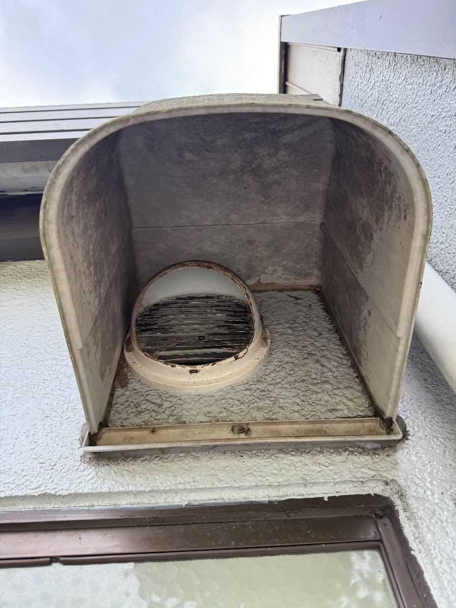 井原市 スズメバチの巣を取り外したあとの浴室の排気フードの中