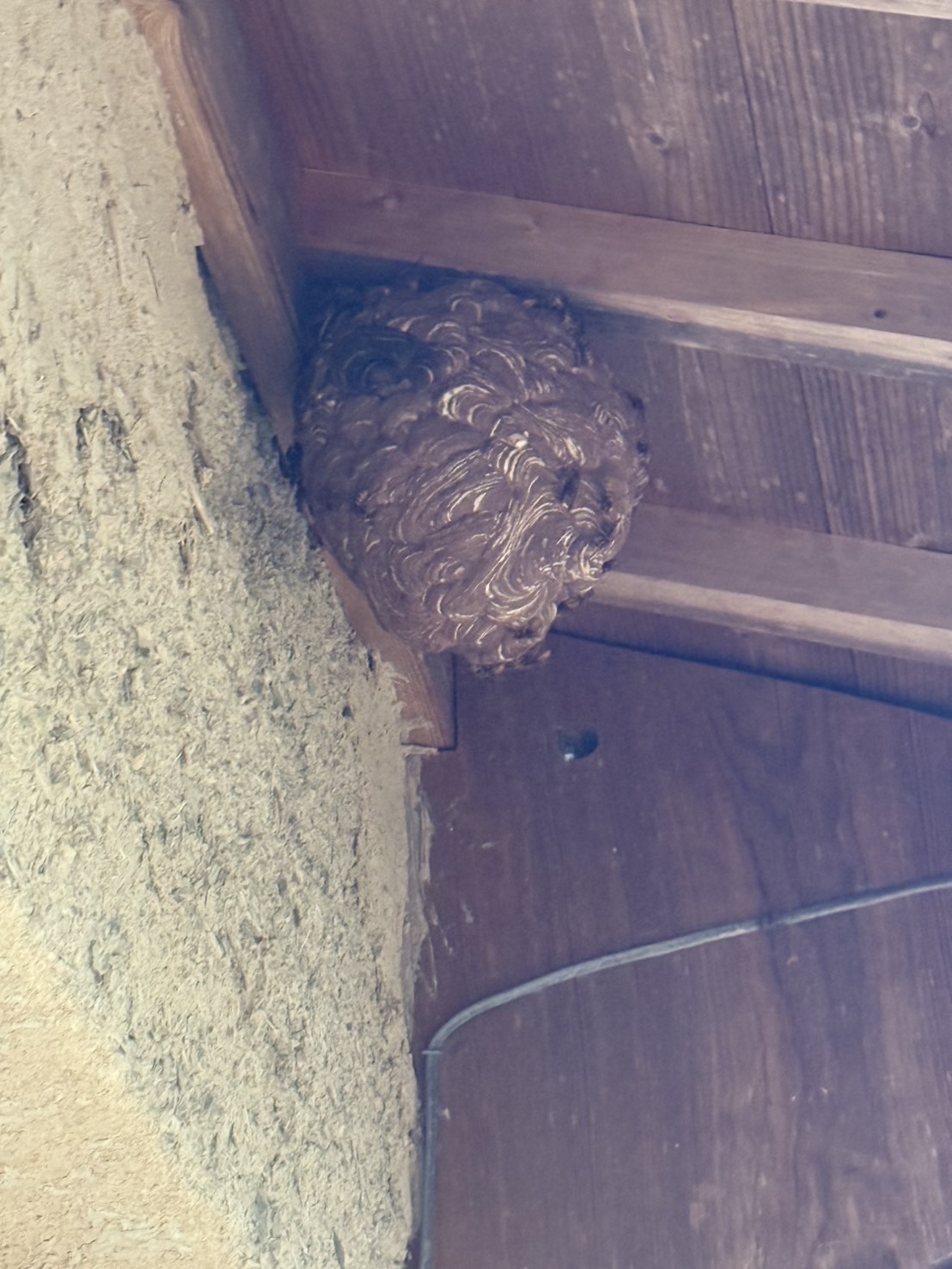 【井原市芳井】1階軒下にできたバレーボール大のスズメバチ駆除