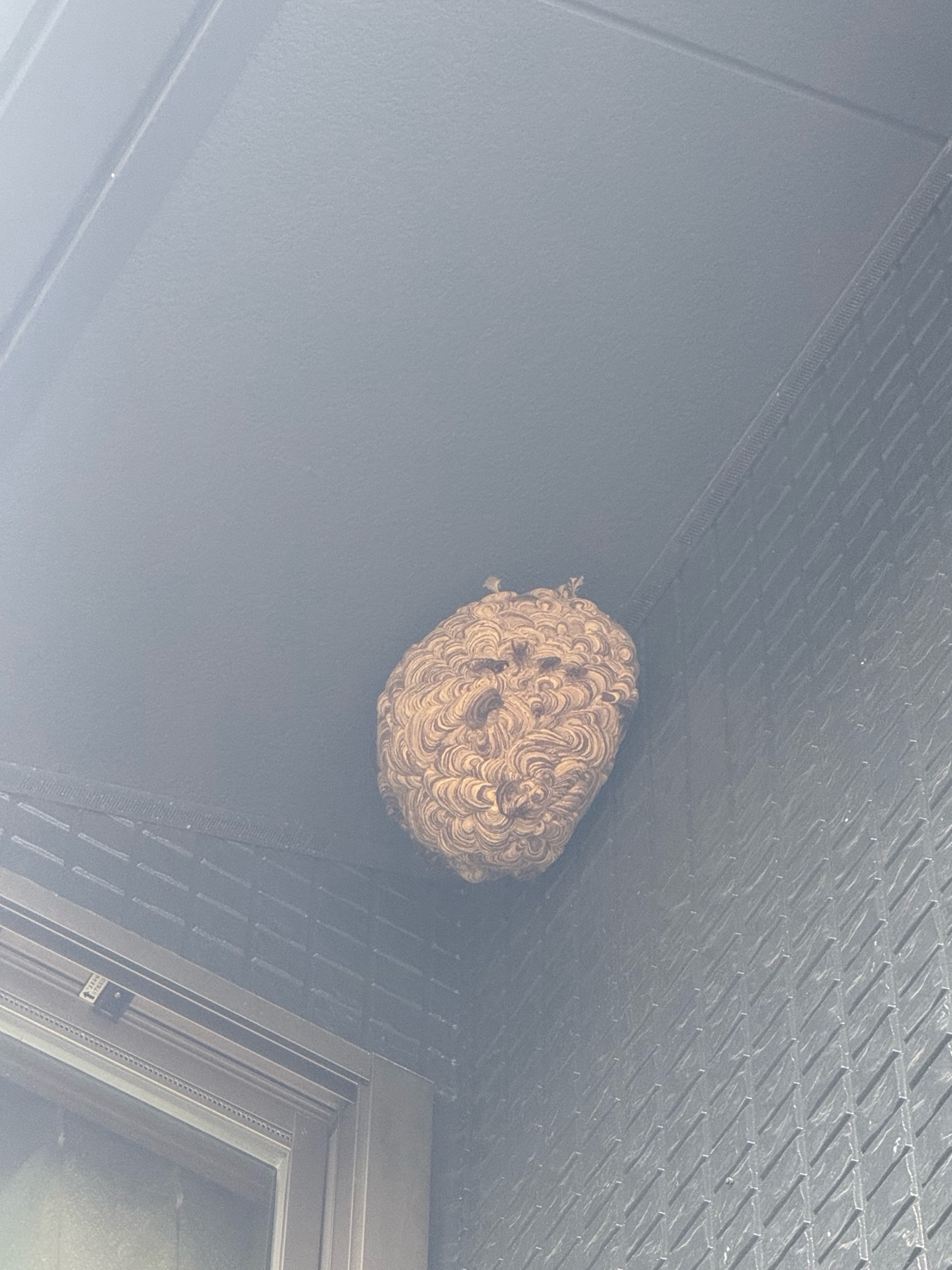 福山市東明王台にてスズメバチ駆除（2階軒下・バレーボールサイズ）